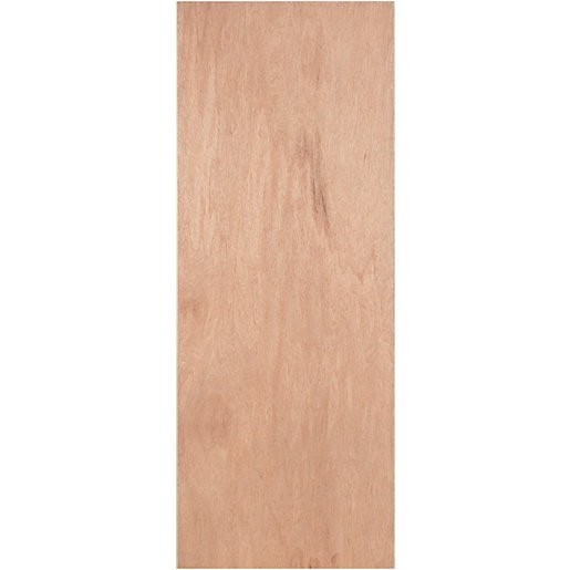 PLY FLUSH Hollow Door